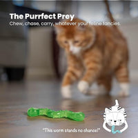 Catstages OrkaKat Wiggle Worm Cat Chew Toy – Catnip Dental Toy for Kittens and Cats, Orange Rubber with Ridges