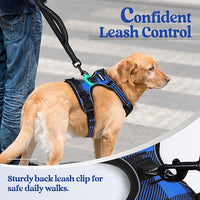 rabbitgoo Dog Harness No Pull with 2 Leash Clips, Adjustable Soft Padded, Reflective Oxford No Choke Pet Vest with Easy Control Handle for Large Dogs, Blue Plaid, XL