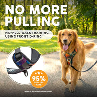 Embark No Pull Dog Harness, Reflective Adjustable Training Vest - M / Aurora - image 2