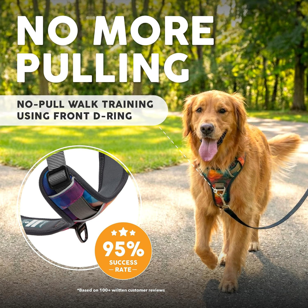 Embark No Pull Dog Harness, Reflective Adjustable Training Vest - M / Aurora - image 2