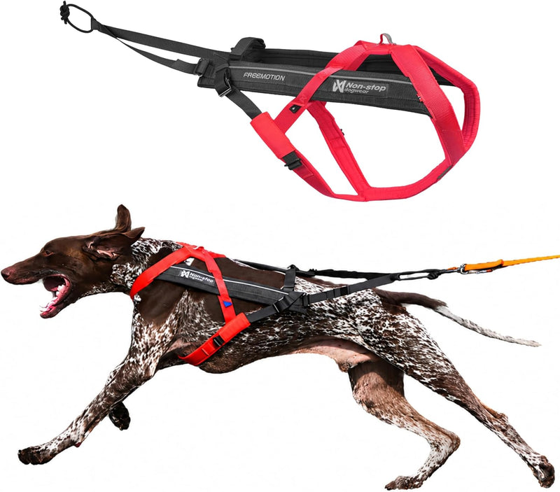Non-stop Dogwear Freemotion 5.0 Dog Pulling Harness, Blue/Gray - 6 / Pink/Gray