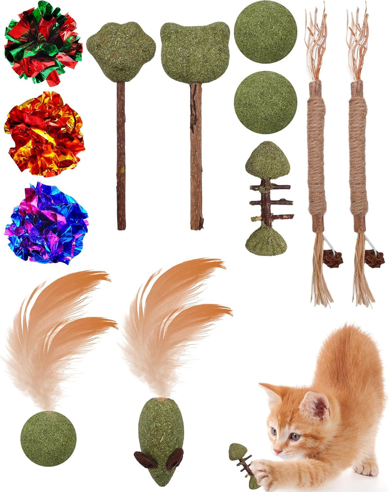 PET SHOW 20 Pack Cat Toy Crinkle Balls 2.5inch for Indoor Cats Kittens – Essentials for Cats - 12Pcs Catnip Toys