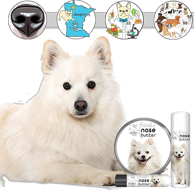The Blissful Dog American Eskimo Nose Butter for Dry, Cracked Skin, Lick-Safe Dog Nose Balm with Moisturizing Shea Butter, Almond, Olive, and Essential Oils, Pet Supplies, Uncented, 4 oz.