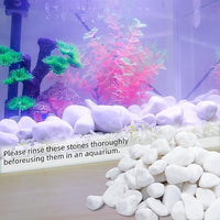8LB 1"-2" White River Rocks for Plants, Polished Pebbles for Garden Landscaping, Planters, Aquariums, Vase Fillers – Indoor & Outdoor Decor