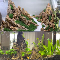Dragon Rocks Aquariums Stones Natural Rocks for Aquascaping, Aquariums, Terrariums, Vivariums Decorative Stone,Reptile Enclosures,Paludariums,and Gardens-10LB（2 to 7 inch）