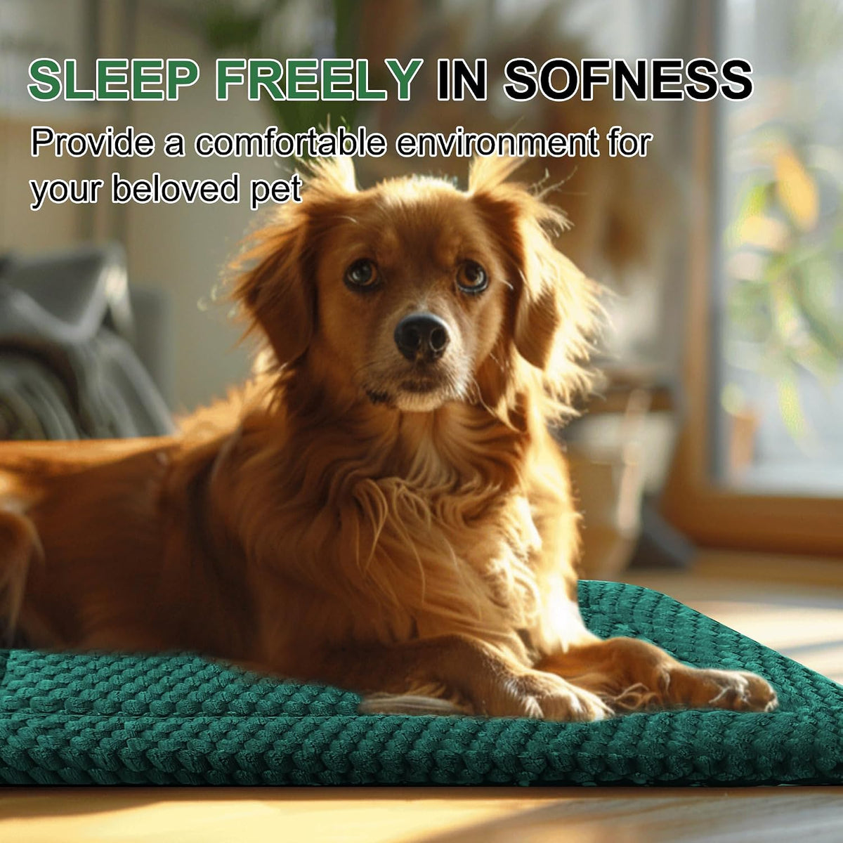 Dog Bed Crate Mat, Soft Durable Washable Anti-Slip Kennel Pad for Dogs & Cats, Reversible) - M(30"*20"*1.5") / Dark Green-1pc - image 3