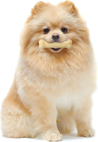 Nylabone Power Chew Original Bone Dog Chew Toys - Original / X-Small - image 2