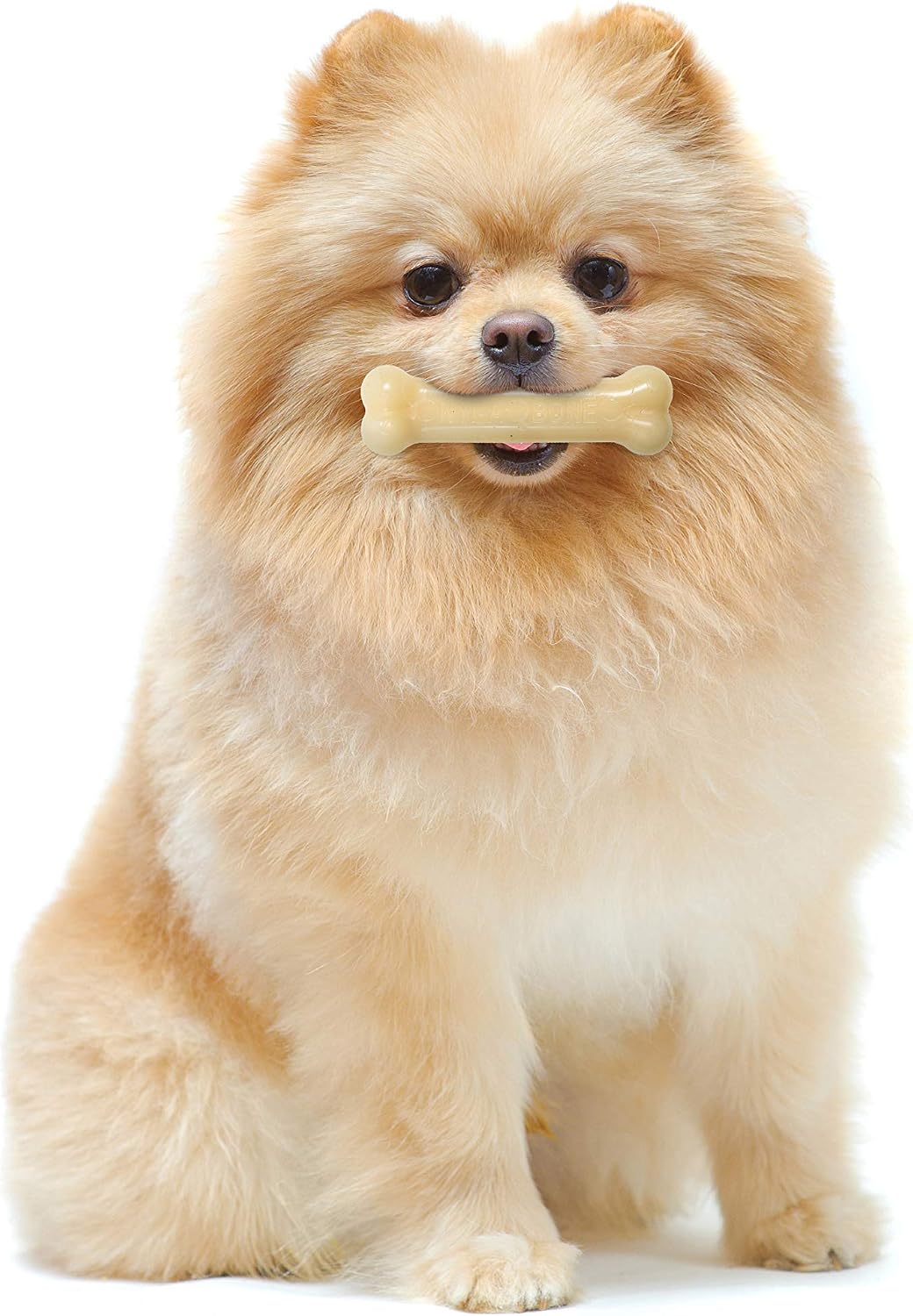 Nylabone Power Chew Original Bone Dog Chew Toys - Original / X-Small - image 2