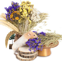 Natural Ear of Grain Flower&Herb Bedding Mate Habitat Decor, Adding Fun Hamster Accessories for Hamsters Gerbils Lemming