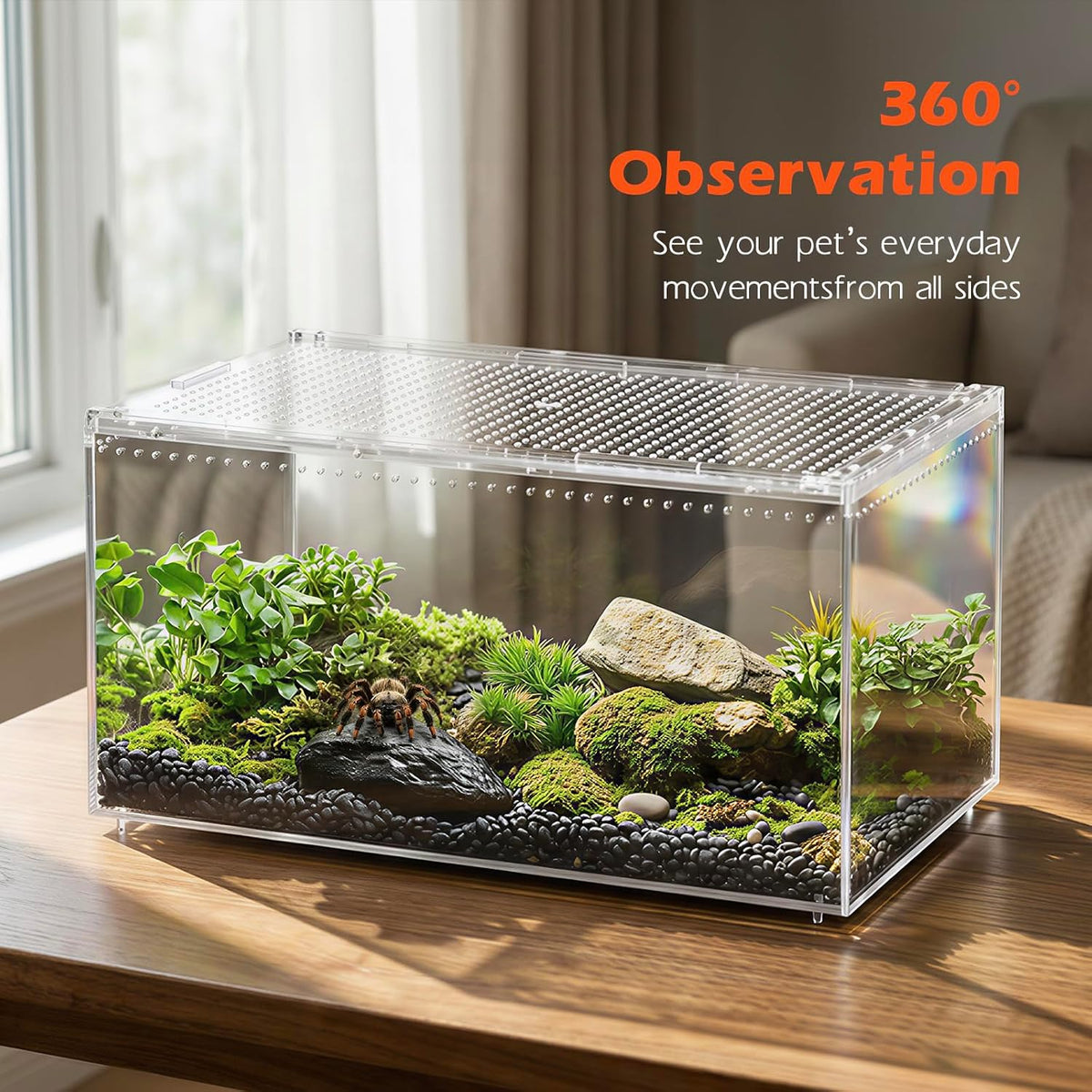 AZV Escape-Proof Tarantula Enclosure - XLarge(15.74*9.84*7.87inch) - image 4