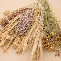 Natural Ear of Grain Flower&Herb Bedding Mate Habitat Decor, Adding Fun Hamster Accessories for Hamsters Gerbils Lemming
