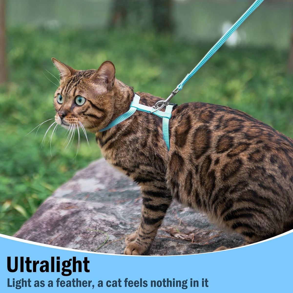 PUPTECK Adjustable Cat Harness and Leash Set Escape Proof Kitten - Small / Sky Blue - image 4