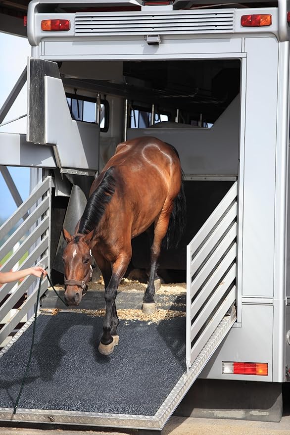 Heavy Duty Horse Stall Mats (20 Pack) - Stable Mats, Durable 3/4 in. Thick Rubber Flooring - Solid Black - 3.5' x 6' Mat for Stables, and More - 42 in. x 72 in. Stall Mat
