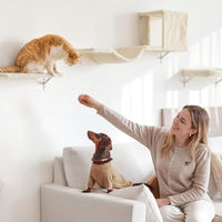 FUKUMARU Cat Wall Shelves - Beige / 4-Piece Set with Hammock - image 4