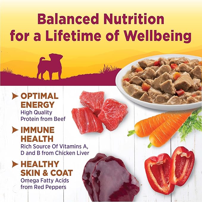 Wellness Petite Entrées Mini-Filets with Roasted Beef, Carrots & Red Peppers in Gravy, 3-Ounce Cup (Pack of 12)