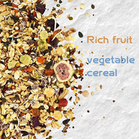 Garden Fruit & Vegetable Hamster Food Mix Natural Small Pet Food Made for Hamsters 1LB Critical Care Healthy Dwarf Hamsters Feed New Packaging
