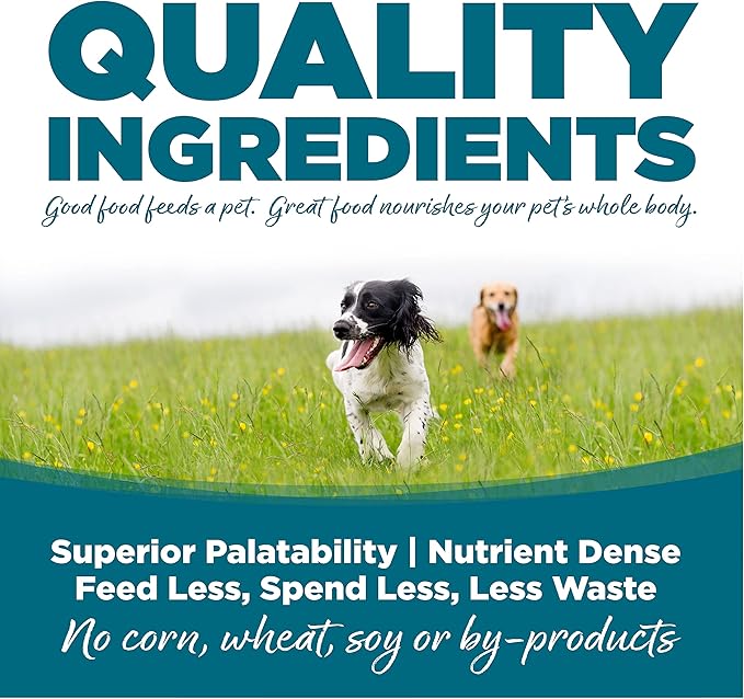 NutriSource Adult Dry Dog Food, Chicken and Rice, 4LB