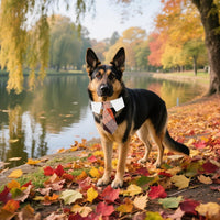ADOGGYGO Fall Dog Neck Tie - Large / Orange-2 - image 3