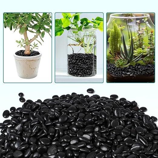 2.5 lbs Black Pebbles for Indoor Plants, 3/8" Small Rocks for Plants Indoor, Succulent, Bamboo, Vase, Decorative Black River Rocks Pea Gravel, Highly Polished