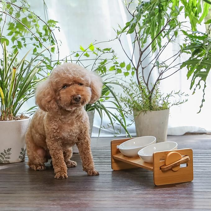 FUKUMARU Elevated Cat Ceramic Bowls, Small Dog 15° Tilted Raised Food Feeding Dishes, Solid Bamboo Water Stand Feeder Set for Cats and Puppy
