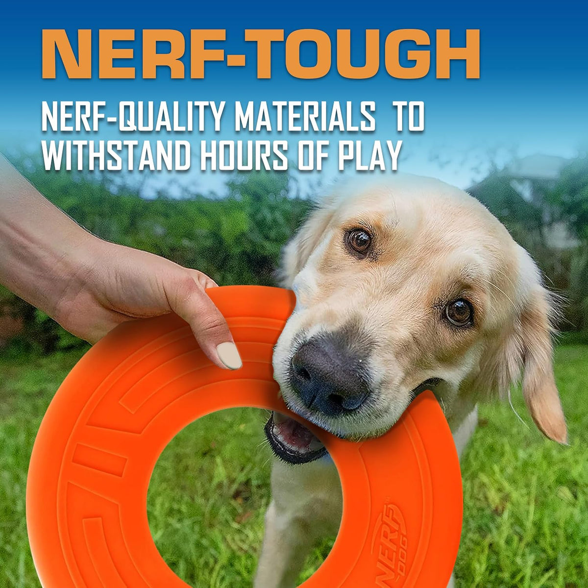 Nerf Dog Tire Flyer Dog Toy Gift Set - Orange / 10 Inch - image 4