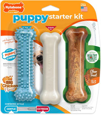 Nylabone Puppy Pacifier Chew Toy - Blue / Small