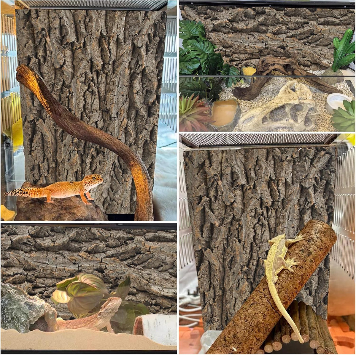 PINVNBY Reptile Terrarium Cork Background - 【Natural Cork Bark 】 / 【1 PCS】 - image 3