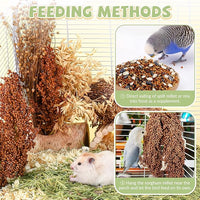 Fhiny Millet Spray for Birds, 3 PCS Natural Sun-Dried Red Sorghum Grain for Birds Seed Original Parrot Treats & Supplement Parakeet Food for Cockatiels Lovebirds Finches Budgies Pigeons Hamsters