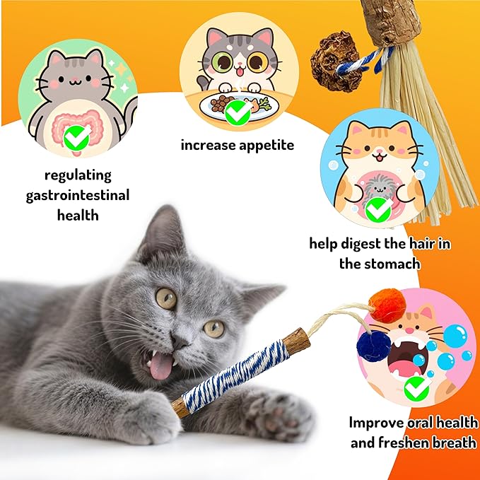 Catnip 6PCS Chew Stick with Wrapped Cotton Rope – Natural Dental Care Cat Toy for Teeth Cleaning & Gum Health, Satisfies Chewing Instincts, Safe & Long-Lasting Kitten Teething Toy