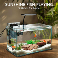 Vimvins 5 Gallon Glass Small Fish Tank with Filter Light and Lid - 10 Gallon - image 2