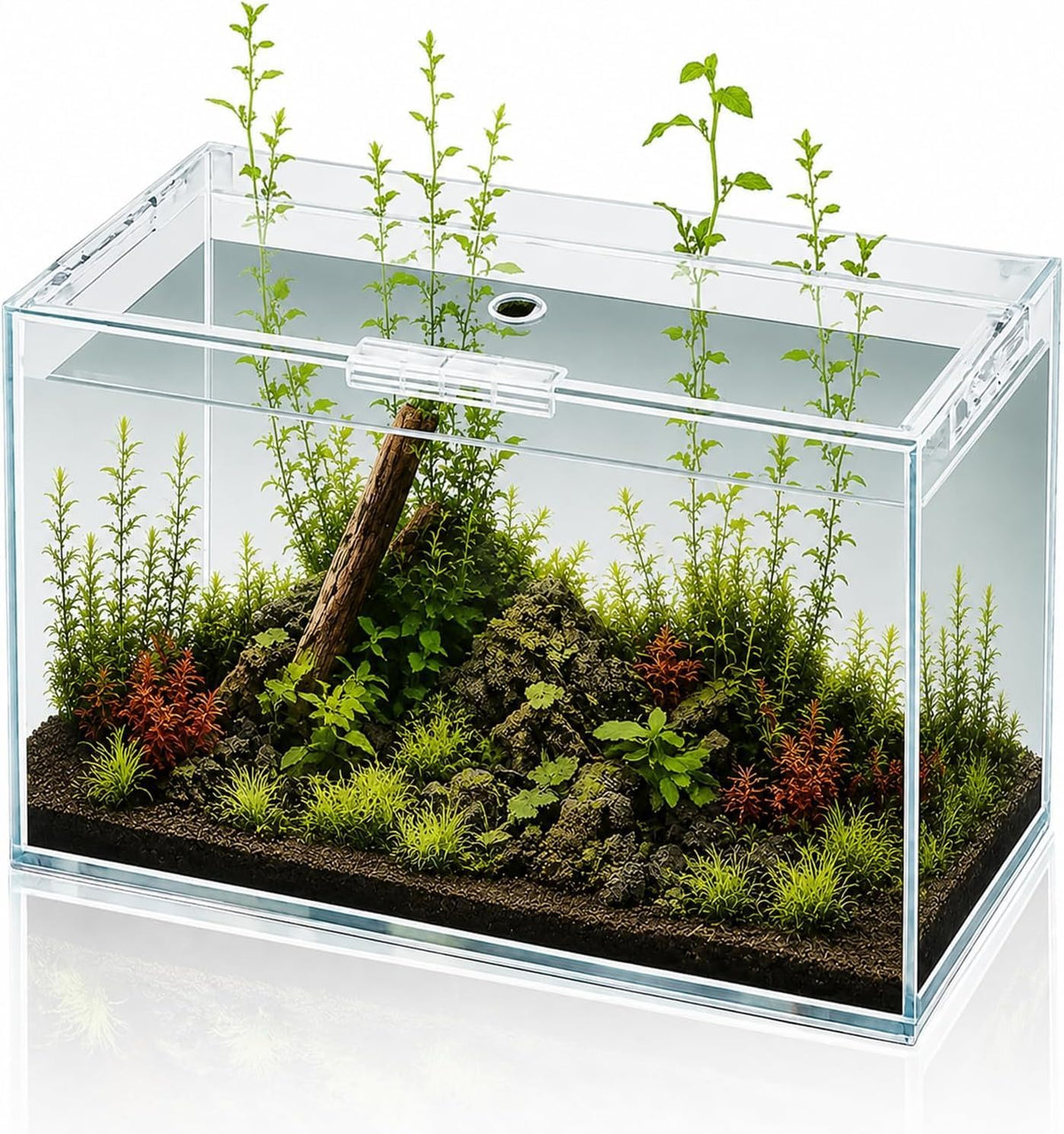 Wonderfactory 5 gallon glass fish tank cube with open-back lid