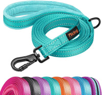 6FT Reflective Dog Leash for Small Medium Dogs, 5/8" Width - Teal / 3/4''x 6 FT