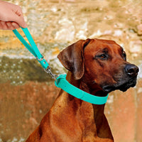 Short Dog Leash - 9 Inch Dogs Lead Grab Tab Heavy Duty Waterproof PVC Dog Training Traffic Leashes - 9'' / Tea Green - image 4