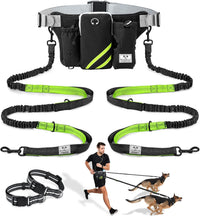SHINE HAI Retractable Hands Free Dog Leash with Dual Bungees for 2 - Green/Black / For 2 Dog
