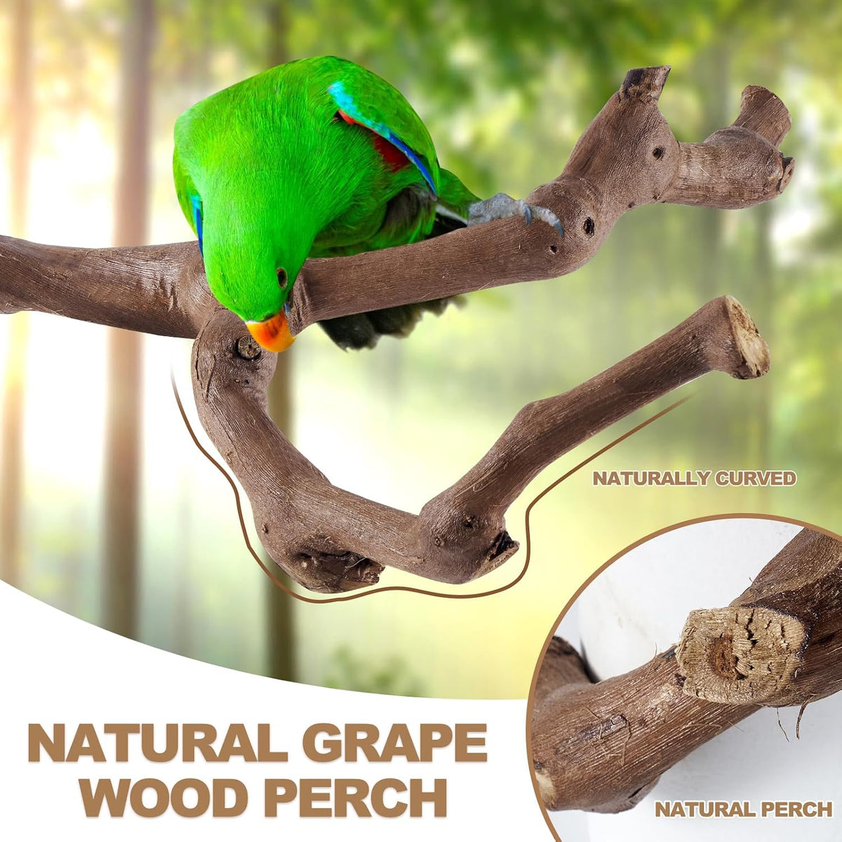 LIMIO 6-Piece Bird Perch Set, Natural Wood Grape Sticks - image 2