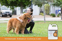 Veterinary Formula Clinical Care Antiseptic and Antifungal Medicated Shampoo for Dogs & Cats, 128 Fl Oz – Helps Alleviate Scaly, Greasy, red Skin – Paraben, Dye, Soap-Free (1 Pack)