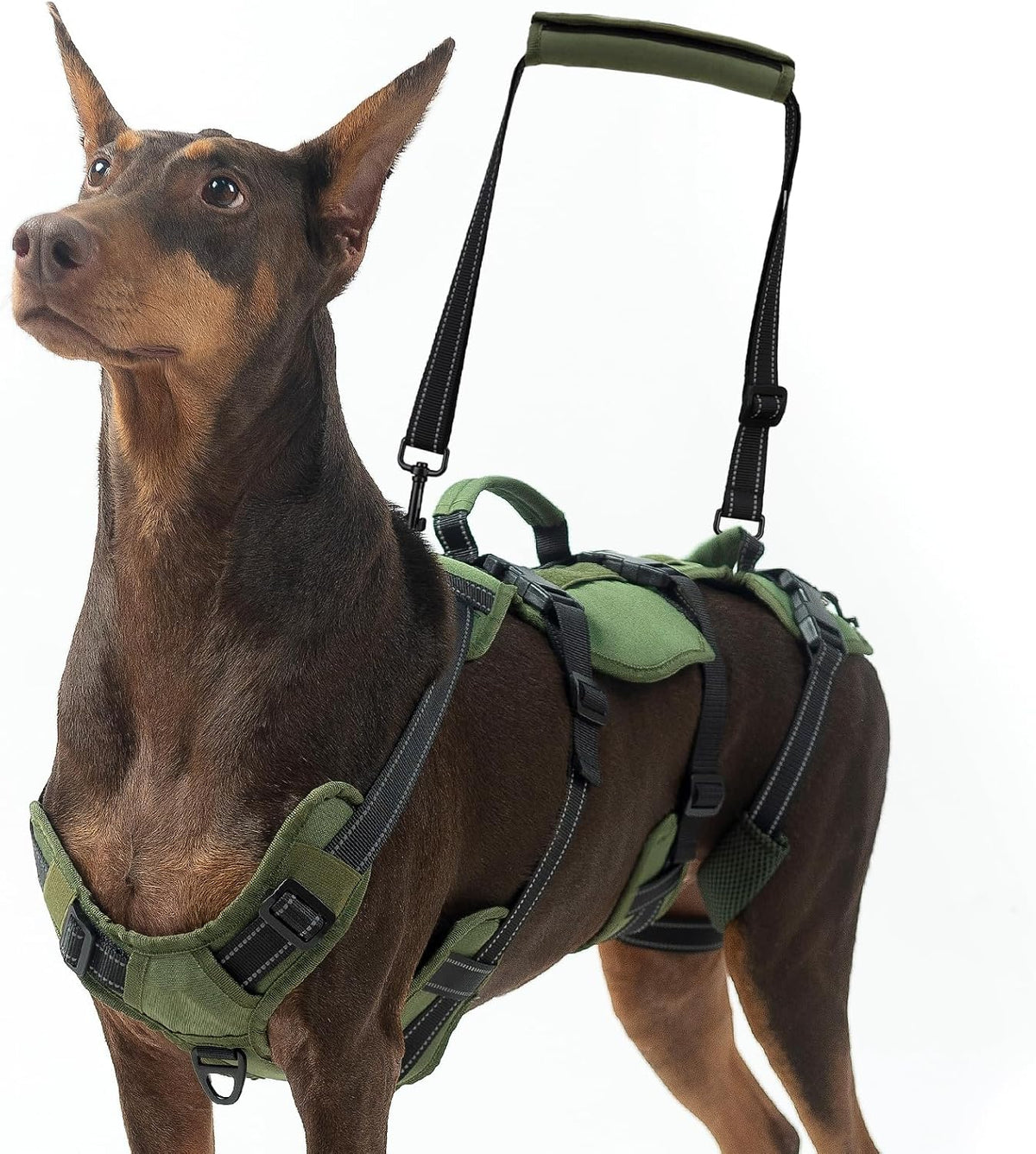 BINGPET Dog Lift Harness for Medium Dogs - Green / Large