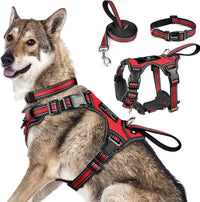 WINSEE Pet Harness Collar and Leash Set - X-Large / Red