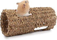 Niteangel Creative & Composable Hamster Tunnel: Edible Water Hyacinth - HC