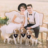 ADOGGYGO Dog Tuxedo Collar, Wedding Dog Bow Tie - Small / Black - image 2