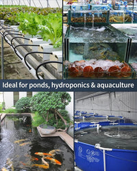 Pawfly Pond Air Pump Outdoor Oxygen Pump for Fish Koi Ponds 3000 to 10000 Gallons Adjustable Pond Garden Aerator Pump Kit with Airline Tubing Control Lever Valves Air Stones and Check Valves