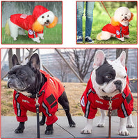 The Dog Face Pet Raincoat - BIG FRENCHIES