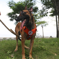 Tactical Dog Harness for Large Dogs, Reflective No Pull Dog Vest - Large (Pack of 1) / Orange - image 4