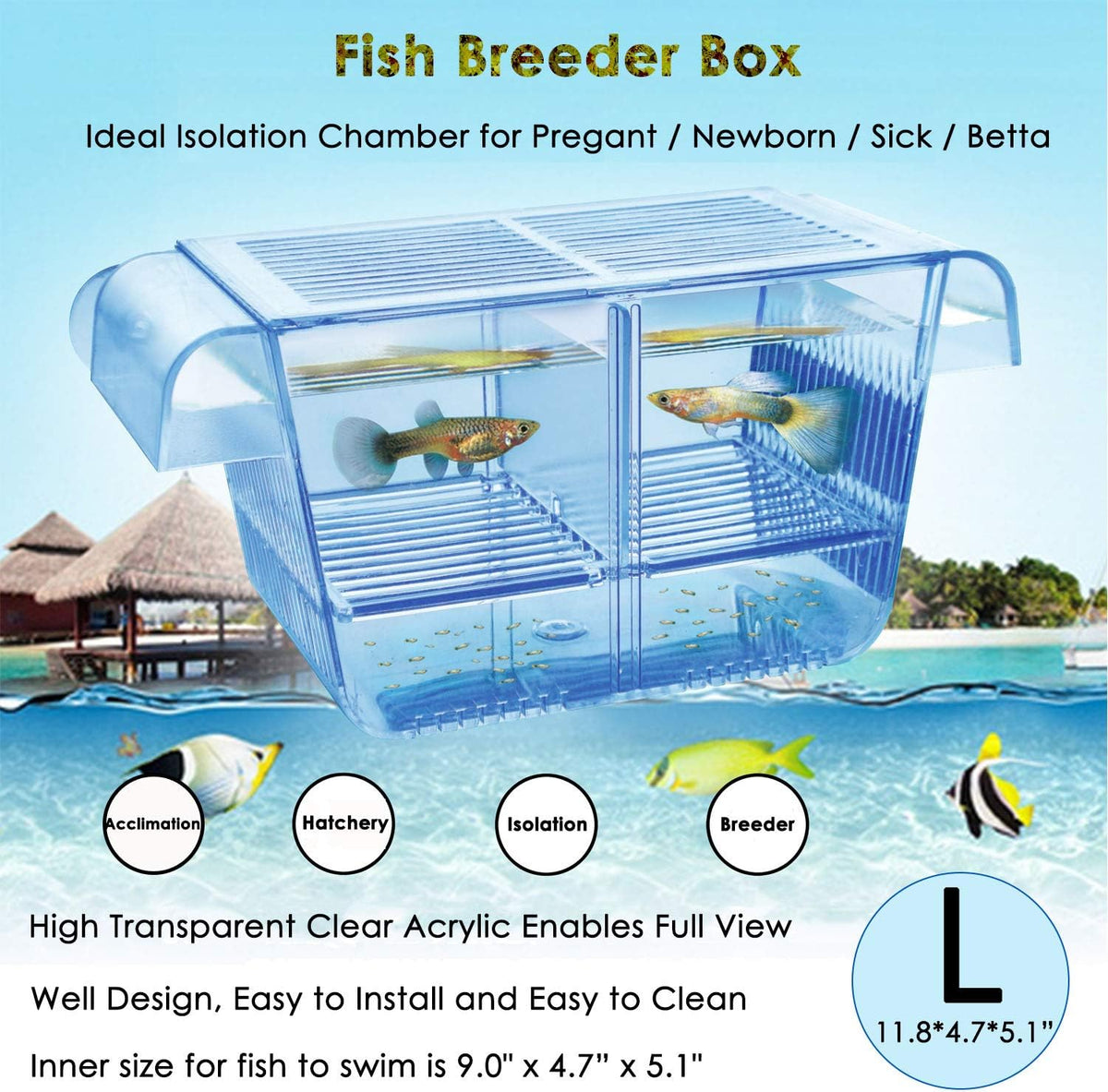 capetsma Fish Breeding Box - L