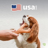 Benebone Wishbone Durable Dog Chew Toy for Aggressive Chewers, Real Chicken, Made in USA, Medium, for All Breed Sizes