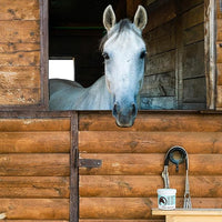 COAT DEFENSE Trouble Spot Drying Paste for Horses - Natural Equine Wound Care That Provides Safe & Effective Relief from Scratches, Sweet Itch, Summer Sores, Proud Flesh, Mud Fever, Girth Rot (24 Oz)