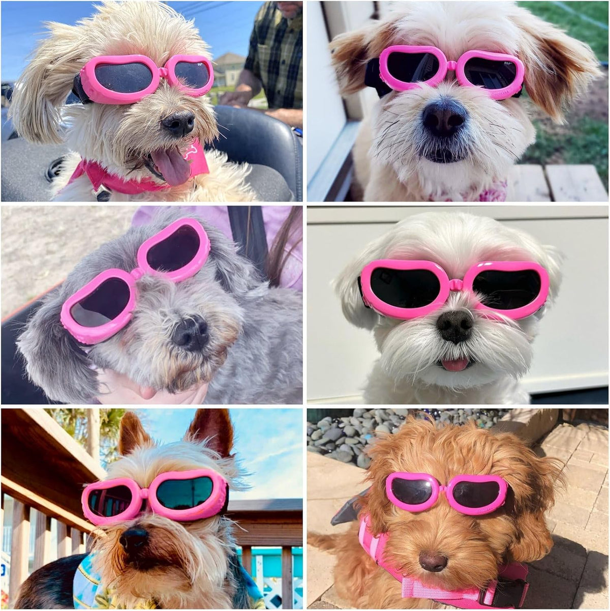 Enjoying Clear Dog Goggles Medium to Large Breed - Classic Pink / Small Breeds - image 2