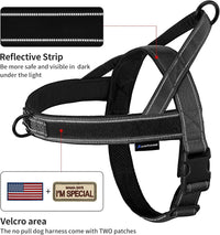 Annchwool No Pull Dog Harness with Soft Padded Handle - L / Black - image 2