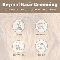 SKOUT'S HONOR Probiotic Pet Deodorizer Spray- Hydrating Daily-Use with Avocado Oil & Omega-3s, Microbiome Friendly Certiified, Paraben & Sulfate-Free, 97% Natural, 8oz, Dog of The Woods, 2-Pack