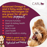 Caru - Classics Chicken Stew for Dogs - Healthy Wet Dog Food or Food Topper - Balanced Omega Blend - 12.5 oz Cartons - Pack of 4